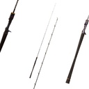 DAIWA SALTIGA LJ BAIT CASTING ROD