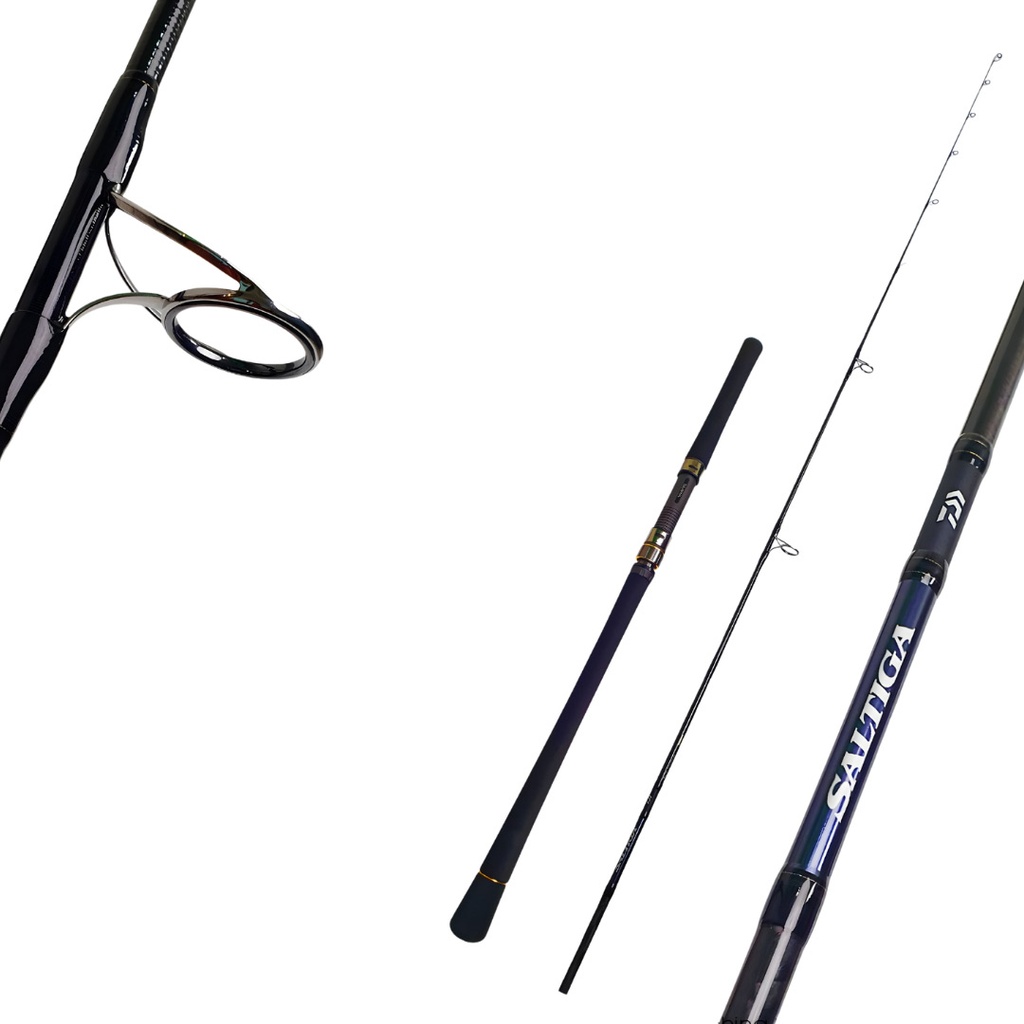 DAIWA SALTIGA C ROD