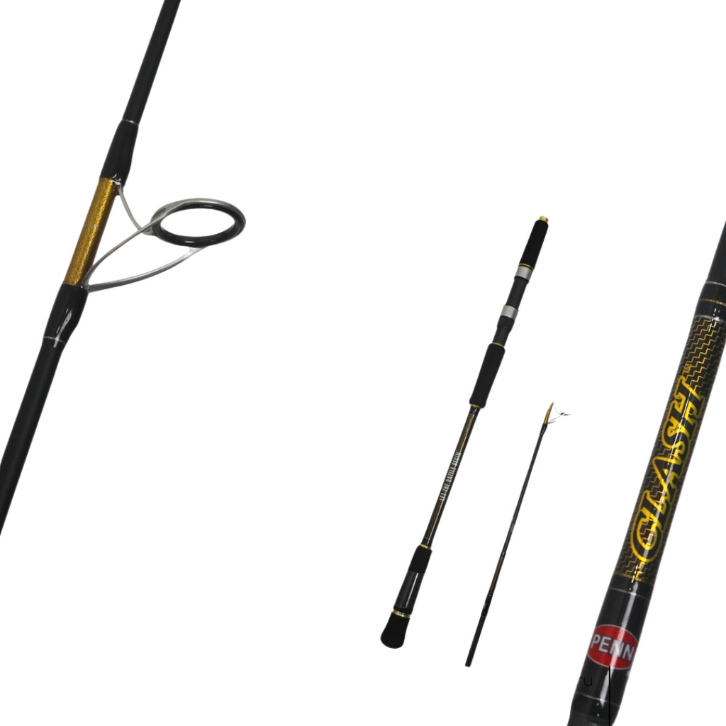 PENN CLASH SPINNING ROD IA(17)