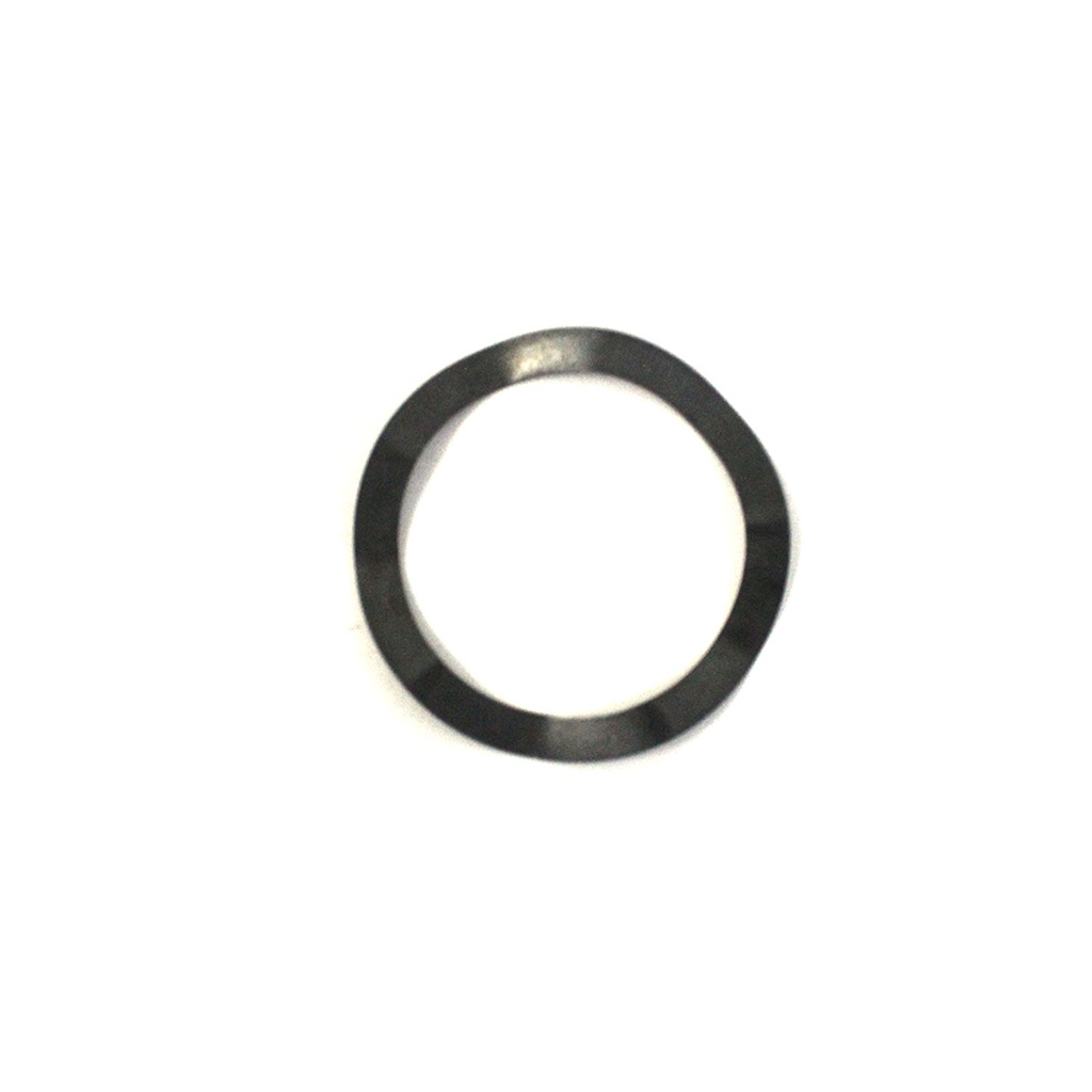 LEO WAVE SPRING PART NO.22 | 10009833