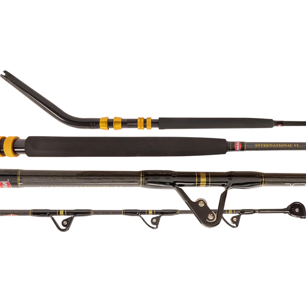 PENN POWERCURVE INTERNATIONAL 24KG STANDUP 5'6"
