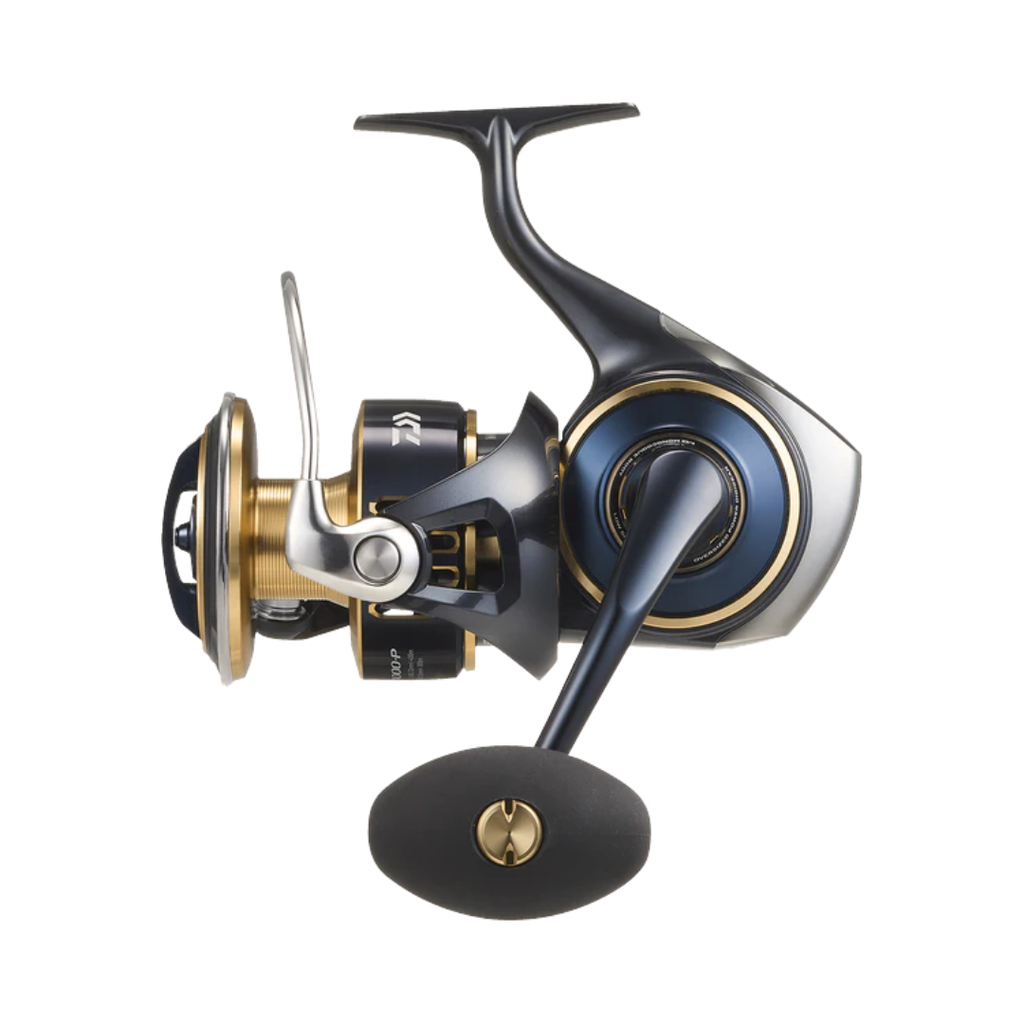 DAIWA 25 SALTIGA (G)