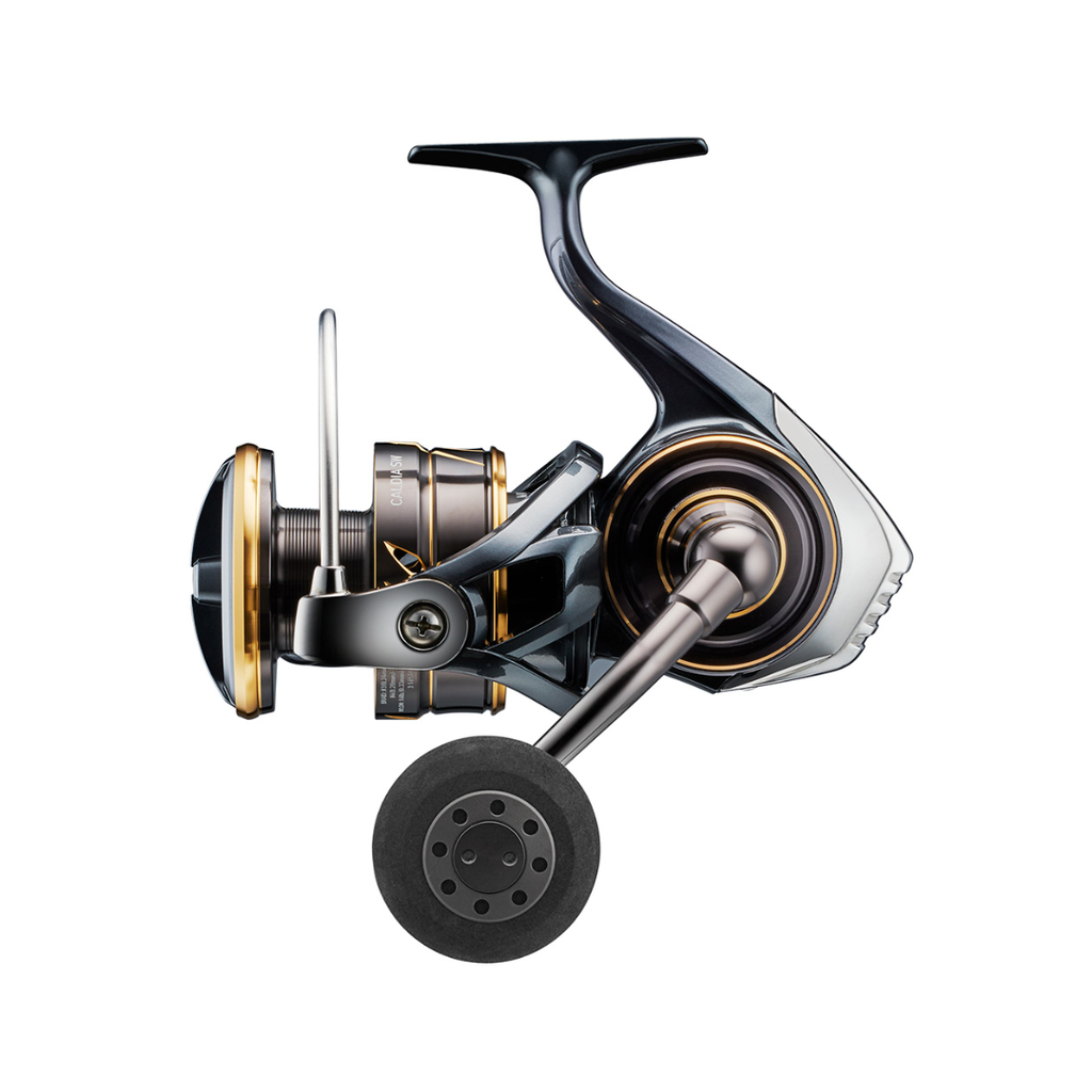 DAIWA 22 CALDIA SW