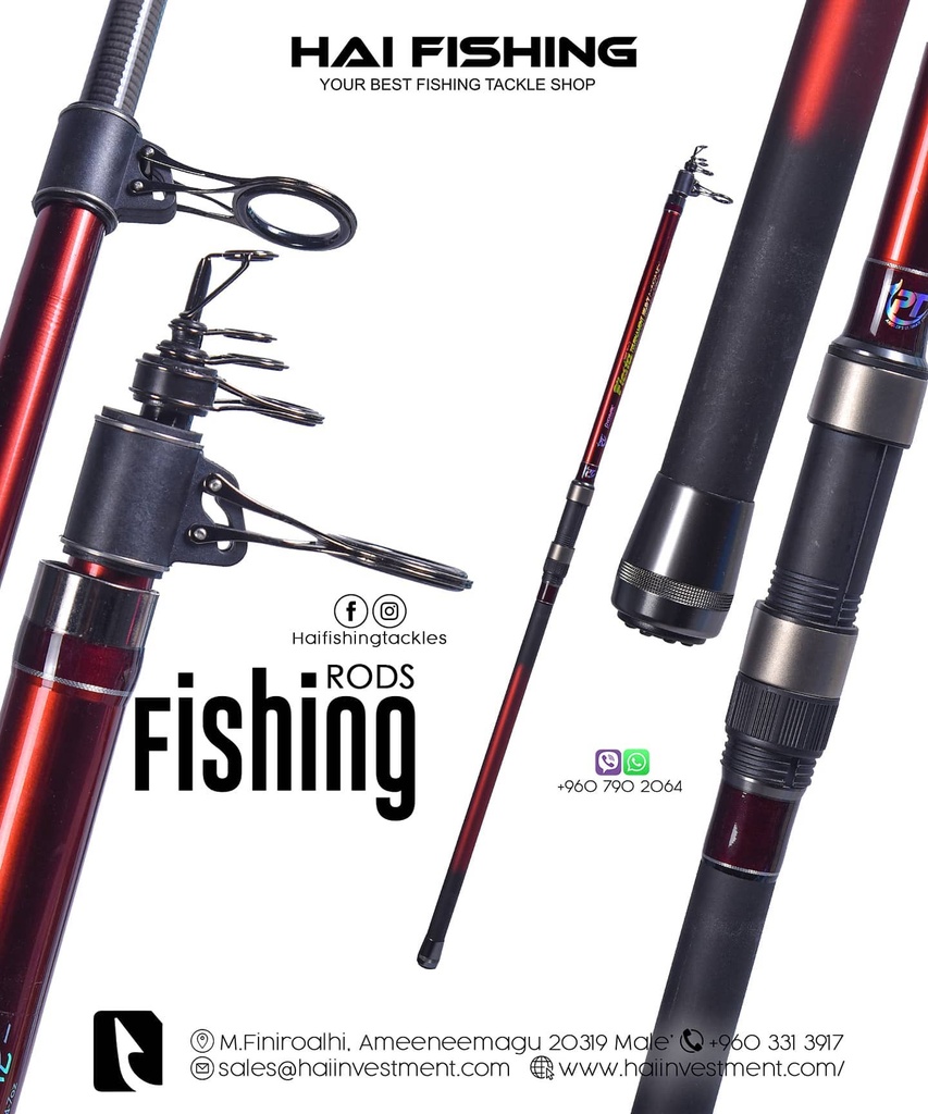 PIO FIESTA TOURNAMENT H.CARBON T/ROD:4505