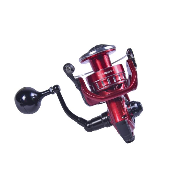 DAIWA BG RR LT
