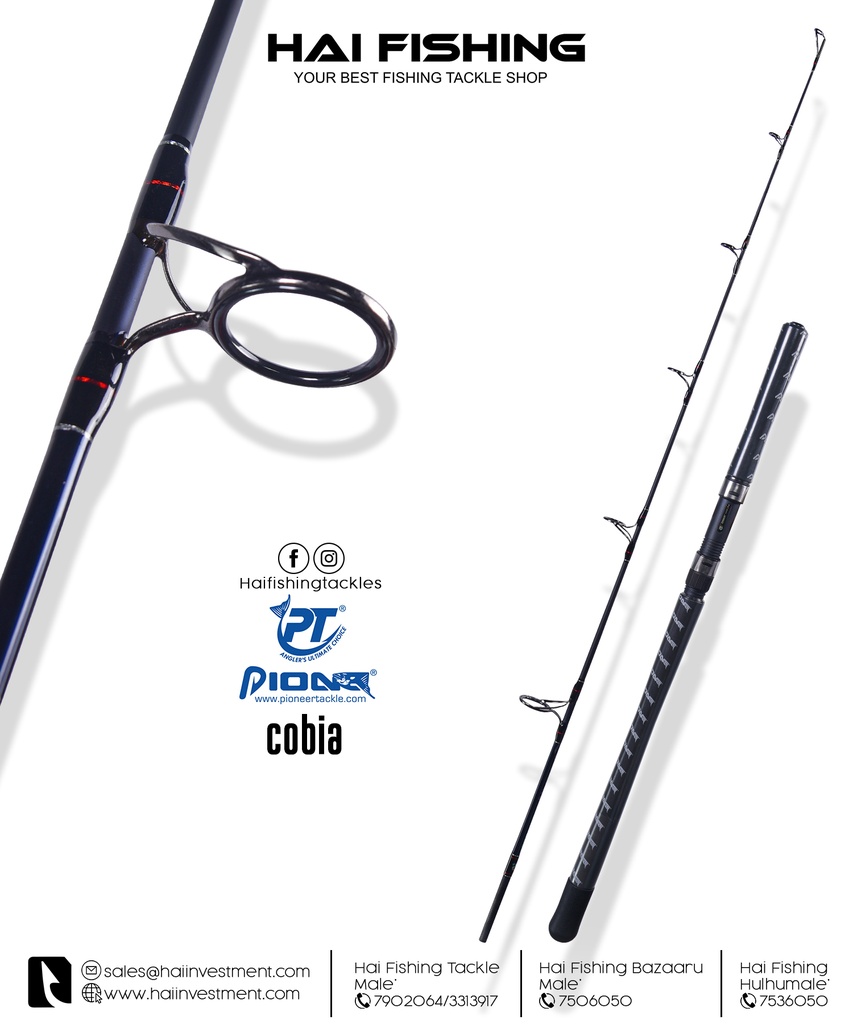 PIO COBIA TOURNAMENT JIG ROD: SP5'6" - 12-20LB
